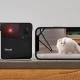 7 Best Pet Cameras of 2022 With Good Video Quality