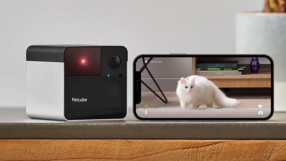 7 Best Pet Cameras of 2022 With Good Video Quality