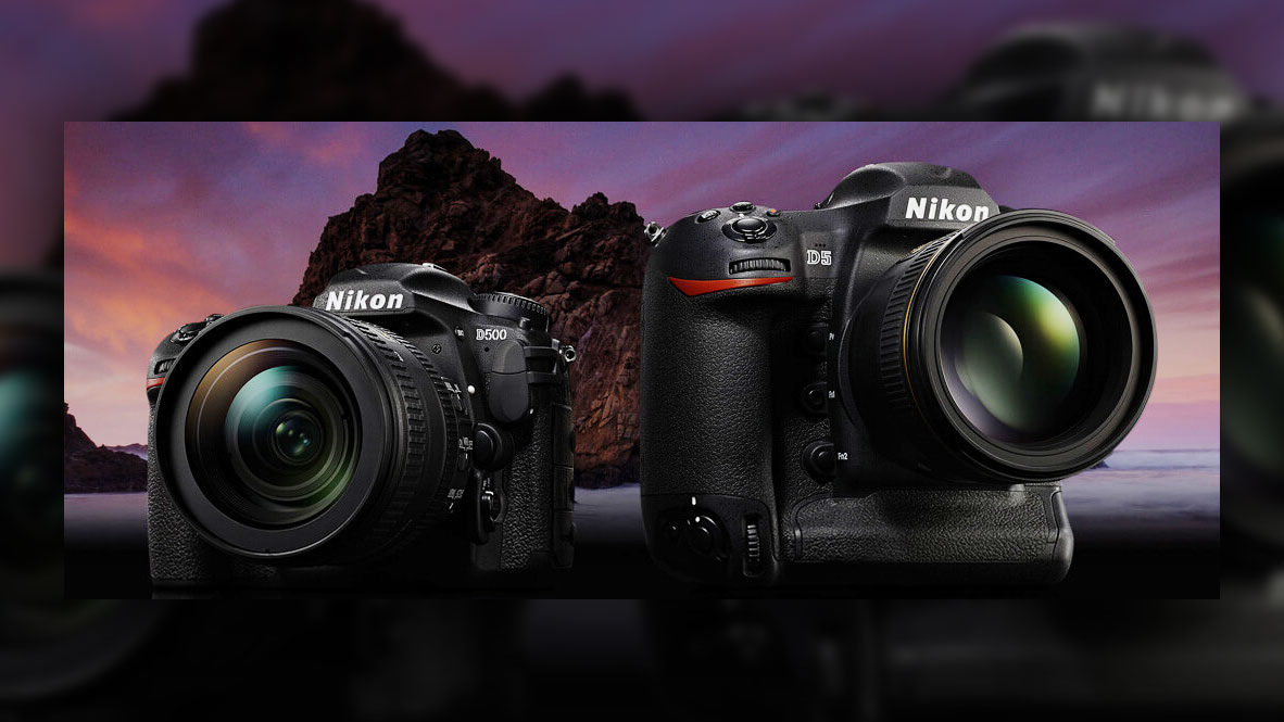 8 Best DSLR Cameras of 2022