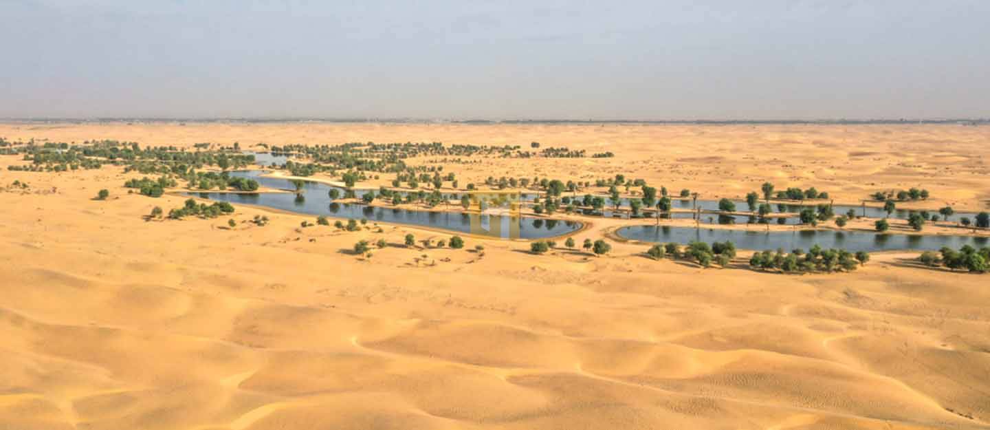 OASES IN THE DESERT: DUBAI AND ABU DHABI