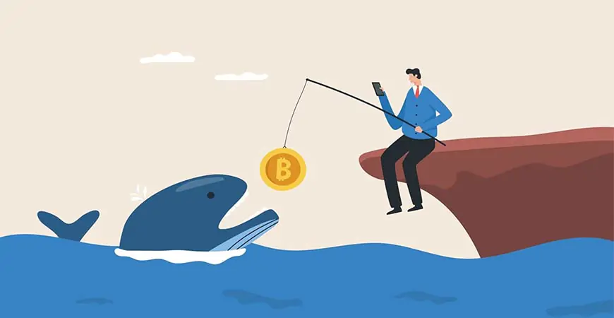 5 Crypto Whale Tracker Tools for Knowing When to Buy the Dip