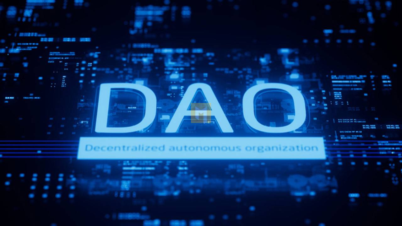 What's the benefit of a DAO?