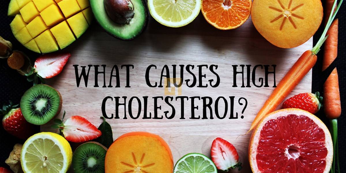 What causes high cholesterol?