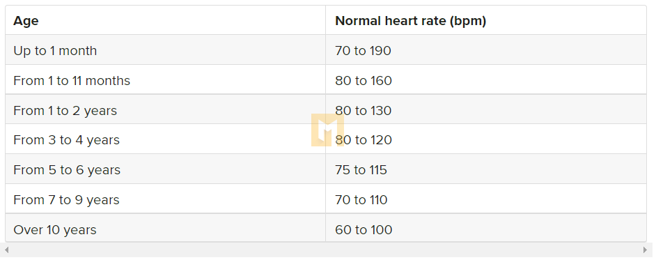 What should my heart rate be?