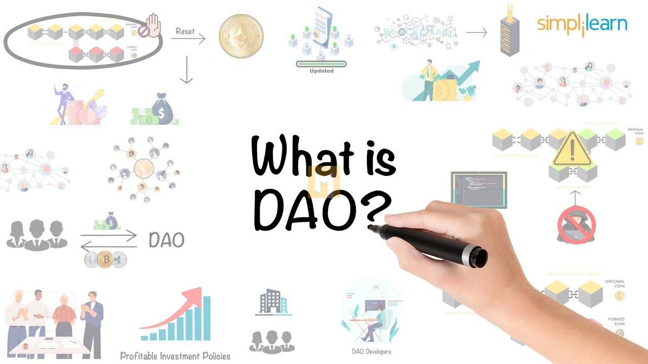 What's a DAO?